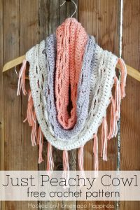 Just Peachy Cowl Crochet Pattern - And I have yet another Caron Cake pattern, the Just Peachy Cowl Crochet Pattern! I can't help myself! I'm obsessed, I tell ya! I made this cowl using Strawberry Trifle. I loved the peachy pink with the creams and grays.