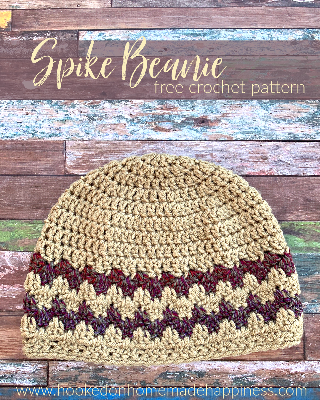 Spike Beanie Crochet Pattern Hooked on Homemade Happiness