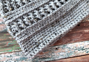 Wayward Beanie Crochet Pattern - The Wayward Beanie Crochet Pattern is the perfect winter beanie! It's textured & warm with it's tightly woven stitches. I love the combination of vertical and horizontal lines.